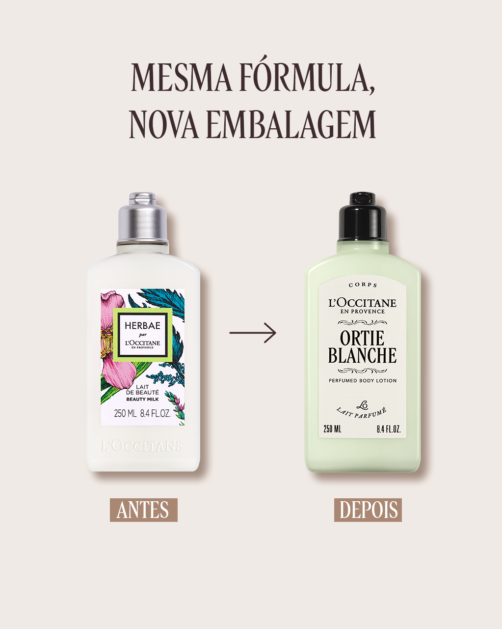 Loção Corporal Perfumada Ortie Blanche 250mL (Herbae) | L'Occitane